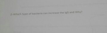 2-Which type of bacteria can increase the lgG and