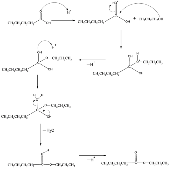 но
н
CH,CH2CH2CH2
+ CH;CH2CH2ОН
CH,CH2CH2CH2
ОН
Но.
Н
ОН
н
ОН
0—СH,СH,CH,
6-CH2CH2CH
-н
CH,CH2CH2CH
ОН
CH,CH2CH2CH
ОН
н
О