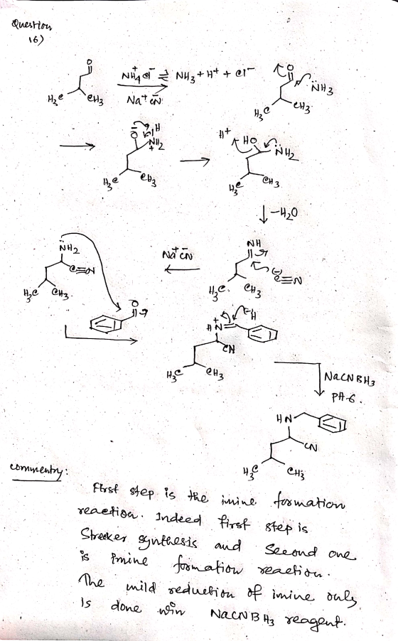 Question (16) NHA BT 2 NH3 + Naten WAS N13 - el CH 3 WH NH2 Na CN Lean 성 Hoc @Hz. He eliz NACN BHZ ỳ Plẽ.. comumenty: 43CCH