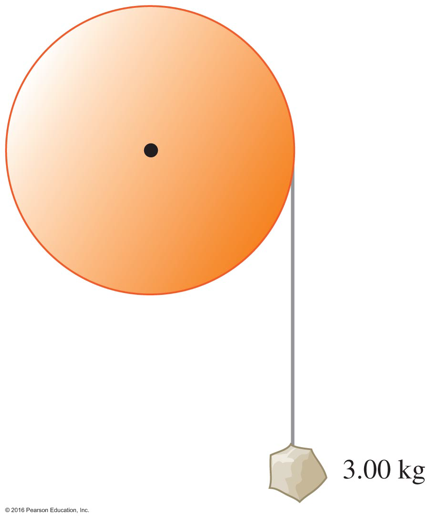 3.00 kg