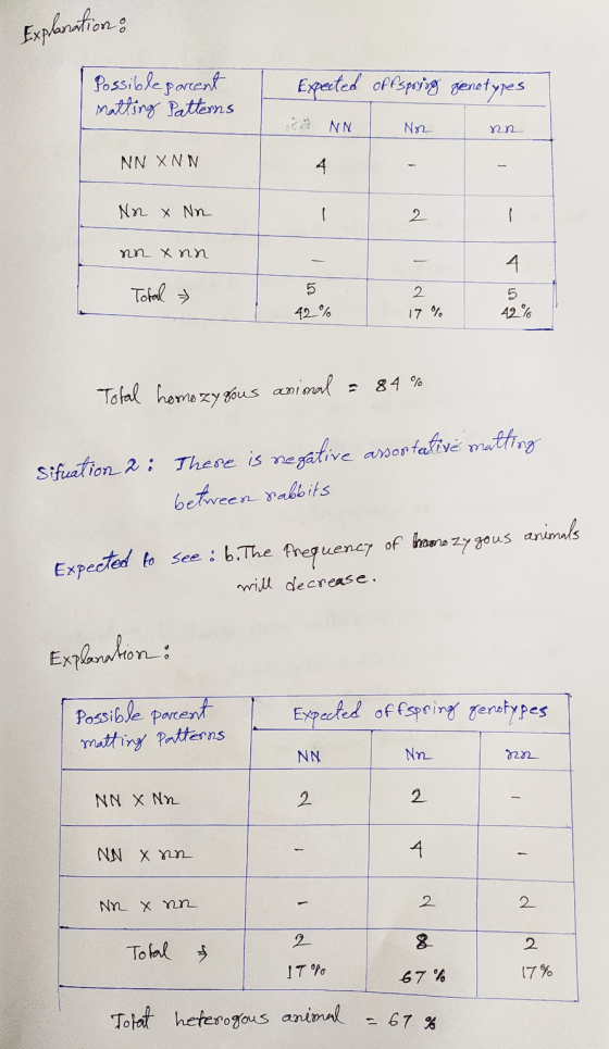 Explanation: Possible parent matting Patterns Expected offspring genotypes A NN No Rn NN XNN Nr x NR - nn xnn Total » 5 42% T