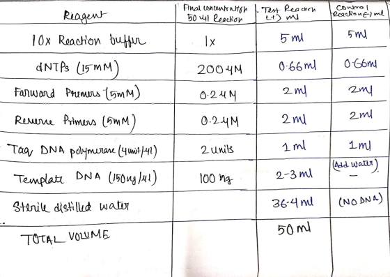 Final concentration Do ul Reaction . Test Reacion to me I control Reaction Elme 5ml . 5 ml lx Reagent 10x Reaction buffer dNT