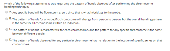 Which of the following statements is true regarding the pattern of bands observed after performing the chromosome banding tec