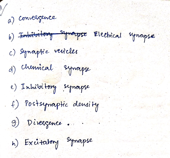 a) convergence 6) Entribitory Synopse Electrical synapse c) Synaptic resicles d) Chemical synapse e) Inhibitory seprapse f) P