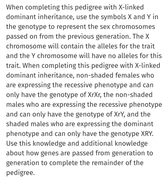 When completing this pedigree with X-linked dominant inheritance, use the symbols X and Y in the genotype to represent the se