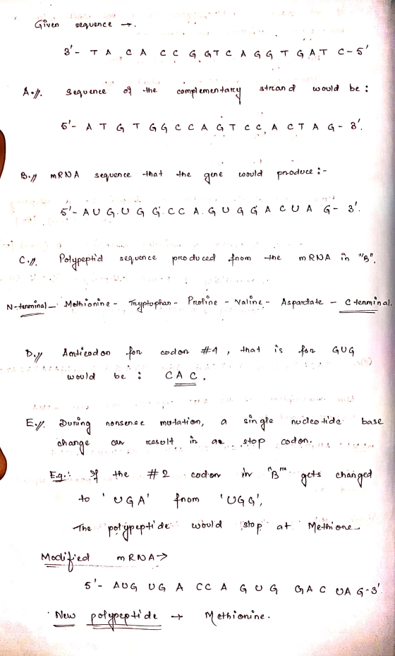 Given sequence 3- TACA CC GGICAGGI GAT C-5 of the sequence strean op would be : complementary 5- ATGT GGCCA GT CC, A CTA G