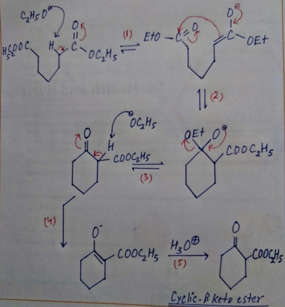 -OET COOC₂Hs 7 COOC₂H5 COOCH15 Cyclic- ß keto ester