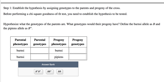 Step 1: Establish the hypothesis by assigning genotypes to the parents and progeny of the cross. Before performing a chi-squa