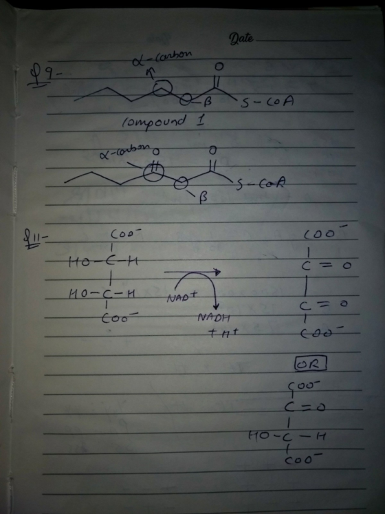 Date &Canbon S-COA (ompound 1 s-CoA Coo Ho-EH M0-CIH NADT Coo NADH T キnt