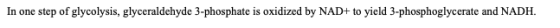 In one step of glycolysis, glyceraldehyde 3-phosphate is oxidized by NAD+ to yield 3-phosphoglycerate and NADH.