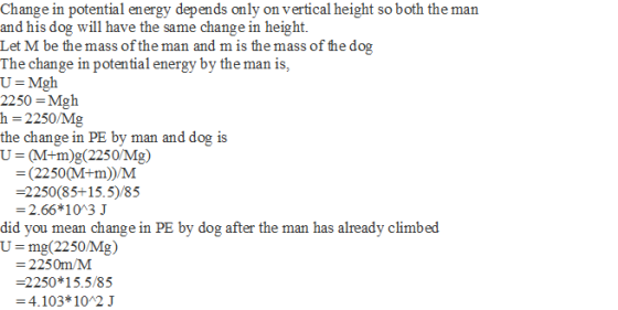 Change in potential energy depends only on vertical height so both the man and his dog will have the same change in height. L