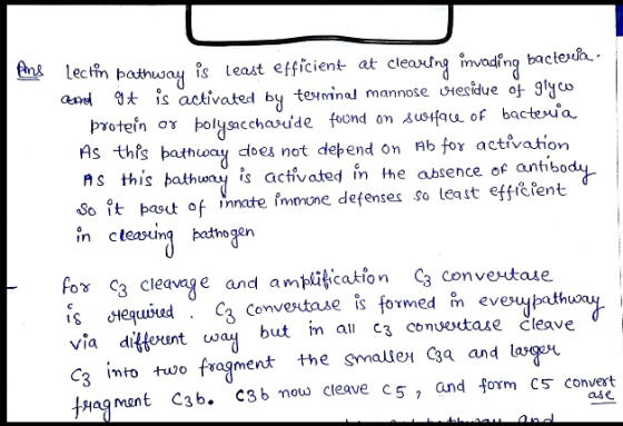 Ang lectin pathway is least efficient at clearing invading bacteria. and qt is activated by terminal mannose whesidue of glyw