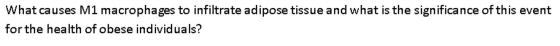 What causes M1 macrophages to infiltrate adipose t