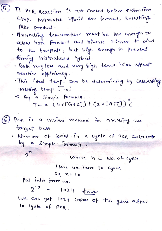 ? If PCR Reaction is not cooled before extension Step Mismatch hybrid are formed, resulting false product • Annealing tempera