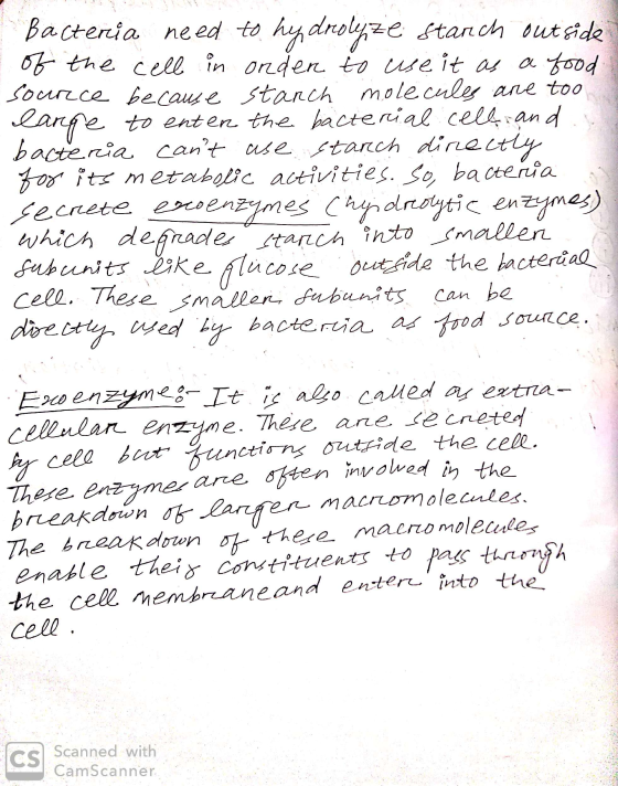 Bacteria need to hydrolyze stanch outside of the cell in onder to use it as a food source because starch molecules are too la