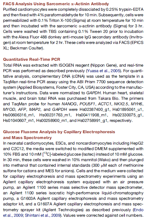 FACS Analysis Using Sarcomeric -Actinin Antibody Purified cardiomyocytes were completely dissociated by 0.25% trypsin-EDTA an