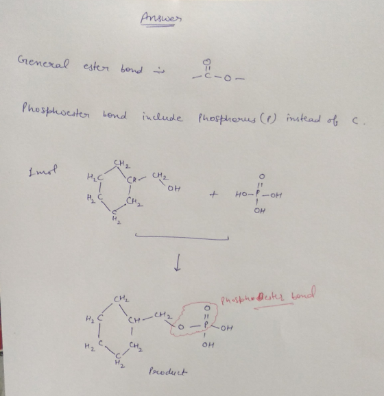 Answer General ester bond 11 Phosphwester bond include Phosphorus (1) instead of c. Imol HCCR- CH2... 애 + HO-P-OH OH CH, Phos