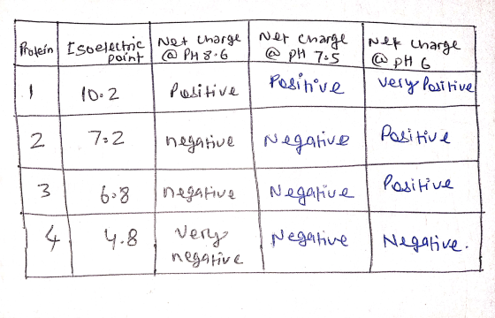 Iwet charge | Net charge Soepoint @ PH 8. 6 I @ PH 7.5 moltin O SITE net charge @ pH G I very positivel 10.2 Positive Pesinin