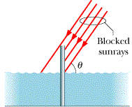 Blocked Sunrays