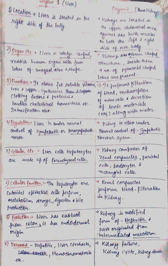 (Livo nga//| 2. (ใน1e kidr uppe½ ak.dbmivalmy. Craan Sh-ラ //vea u, vedr. Shaknd, K7chn呼 허ructure , Inside-Item texte materia