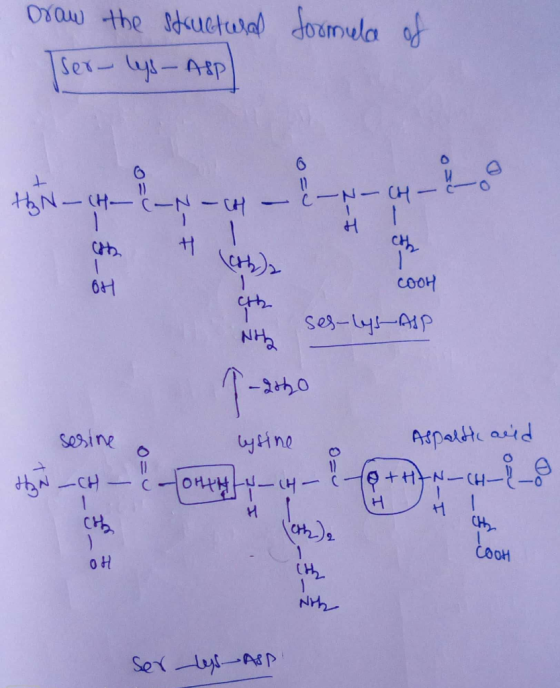 OYau the ductual dounula Sex--Atp ードーCH thN-CHC-N-CH cooH Ses-4-p NHA -t0 Aspattte autd sesine yine HNCH- tN-CH CHA CH COOH N