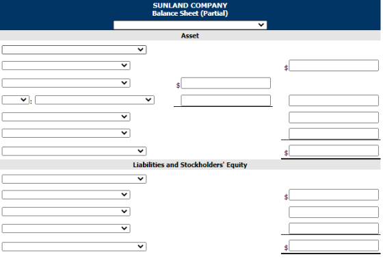 SUNLAND COMPANY Balance Sheet (Partial) Asset $ $ Liabilities and Stockholders Equity $