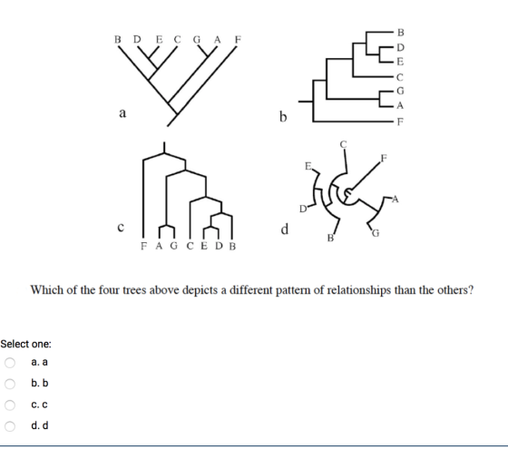B D E C G AF F A G CE DB Which of the four trees above depicts a different pattern of relationships than the others? Select o