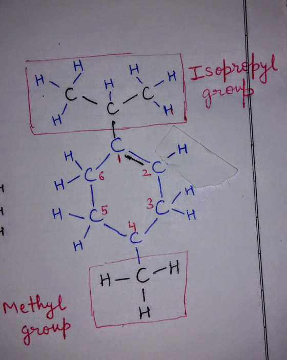 H H Isopropyl I - H group I HC5H I TH-C-H tu- I Methyl group