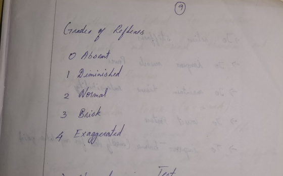 Creades y R pladrs Aboent 3.ee $C 1 Diminished Wetimad C < 2 3 Bridk 4Erageabd Test