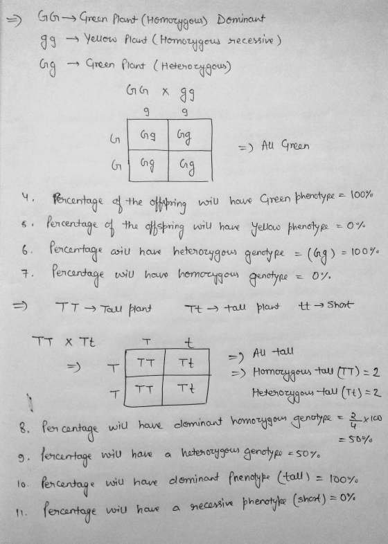 - GG Green Plant (Homozygous) Dominant 99 — Yellow Picunt ( Homozygous recessive) Gg - Green Plaint (Heterozygous) GG x gg 5