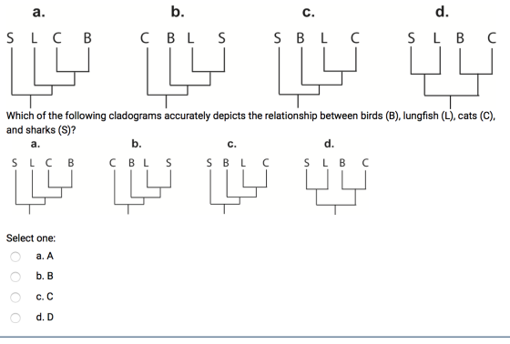 b. C. d. I a. S LC B C B L S S B L C. S L B C ப பப்பு பப்ப Which of the following cladograms accurately depicts the relations