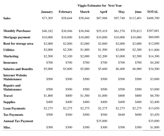 Viggio Estimates for Next Year January $73,305 February $58,644 March $58,644 April $87,966 May $97,740 June $112,401 TOTAL $
