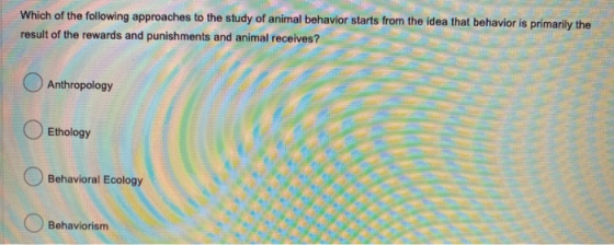 Which of the following approaches to the study of animal behavior starts from the idea that behavior is primarily the result