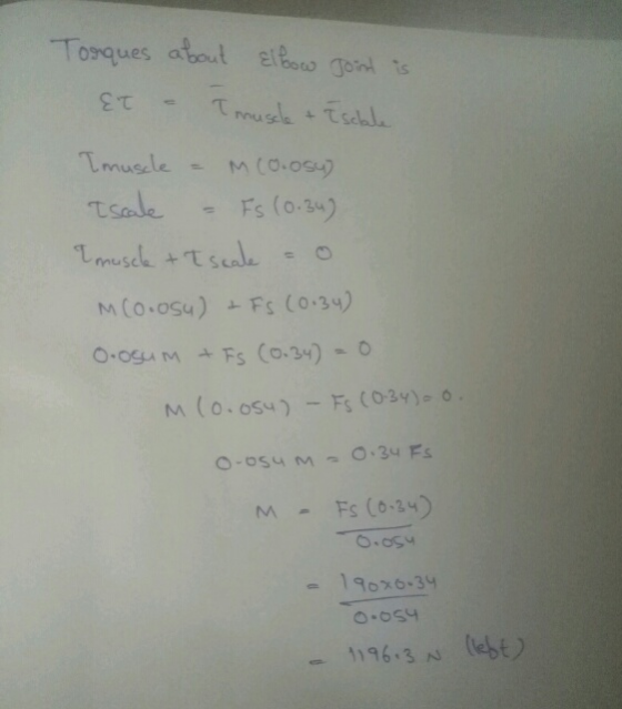 Torques about Ellow Joint is ET - I muscle + Tschale Imuscle = mco.osu) Iscale – Fs (0.34) I muscle + I scale - o MCo.osu) +
