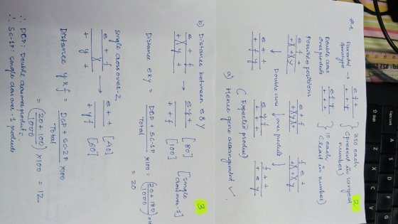 Caps Lock A S at 202 TSI t shift Z X BY Parental Genotype eft & ty 2 350 each sepresent en largest number) efy z 10 each + +