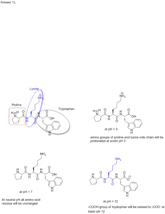 Answer 1): Lysine NH3 NH Proline Tryptophan H@H O он он at pH 3 amino groups of proline and lysine side chain will be protona