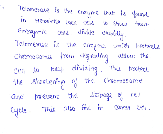 cells to Show Cells divide crapidly. Telomerase is the enzyme that is Yound in Henrietta lack how embryonic Telomexque is the