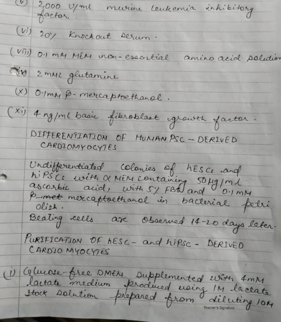 inhibitory 2,000 ulme murine leukemia factor : (vi) 207 Knockout serum. CD 0.1 mM MEM non- essential amino acid solution x 2m