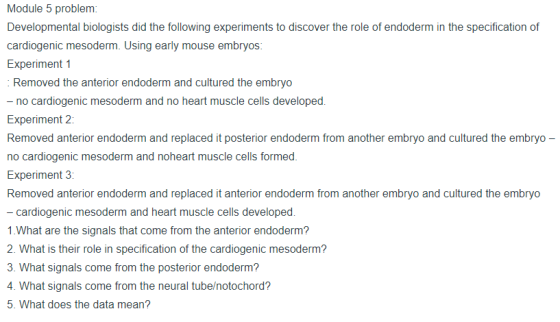Module 5 problem: Developmental biologists did the following experiments to discover the role of endoderm in the specificatio