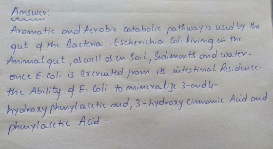 Answer: Aromatic and Acrobic catabolic pathway is used by the gut of the Bacteria Escherichia coli living in the Animal qut,
