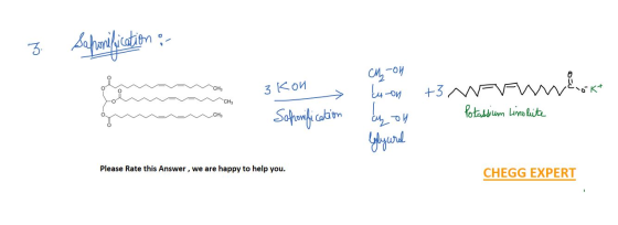 3. Schomification :- CH raamchy Vok+ +3 N cly on Lu-on ayon 3kon Sohonification EW Potassium Linolite CH lylyurl Please Rate