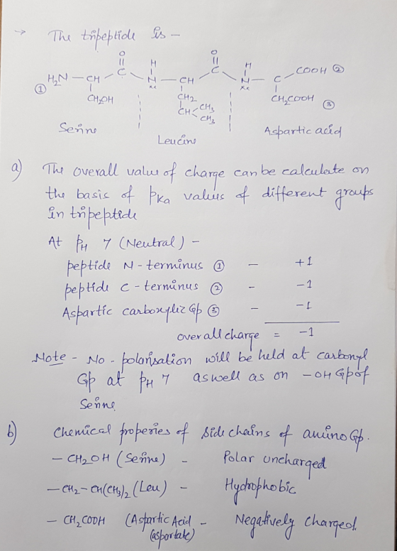 凤凤 CH3 artic adio Leudin Thi overall valu of chame can be calculate an valius ditterent At 7 (Neutral ) peptide N - terminus