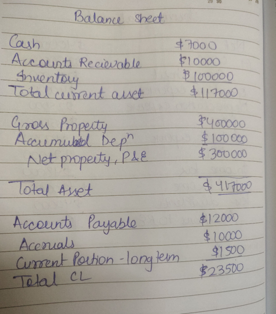 29 30 Balance sheet Cash Accounts Recievable Inventory $7000 $10000 B 100000 $117000 Total current alset Gross Property Accum