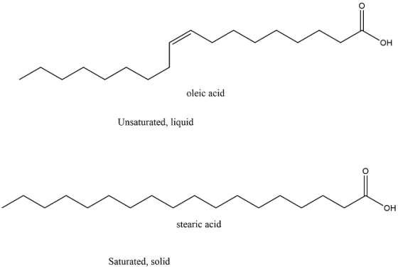 OH oleic acid Unsaturated, liquid OH stearic acid Saturated, solid O