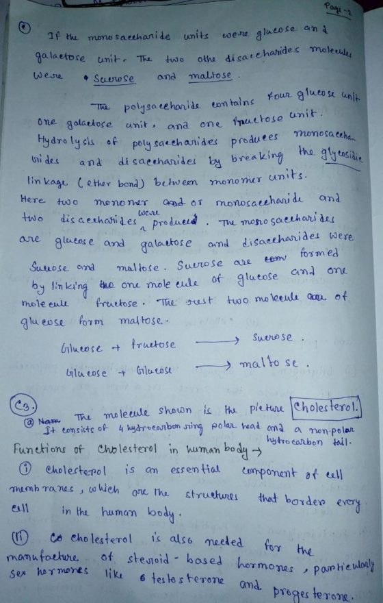 Page 2 othe disaccharides molecules mono saccharide units If the were glucose and two galactose whit. The Were • Suerose and