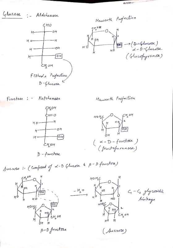 naM. Glucose Aldahenose Haworth Puofection CHO SHOH И он н Ко- (D-Gluerte) D-Glucre но но и (Glucafyrante) он Снон Frahats Pu