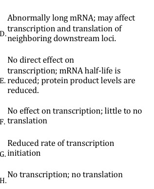 D. Abnormally long mRNA; may affect transcription and translation of neighboring downstream loci. No direct effect on transcr