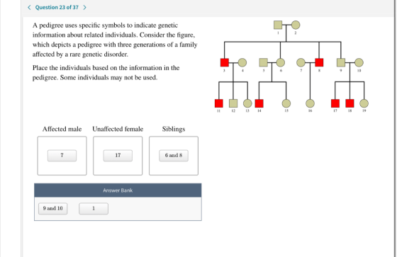 < Question 23 of 37 > A pedigree uses specific symbols to indicate genetic information about related individuals. Consider th