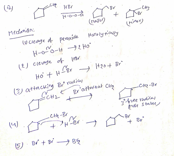 1HBr (ragog Mecdanisn hiny Horolytially (U Clevye d pevoxide H-o-0-4 2 Ho (2 Clevnge o +२० + Br Ho H (3) attacuiy Br radiay B