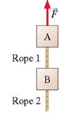 The figure shows two 1.0kg blocks connected by a r